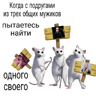 Sticker BackToVrn - 2