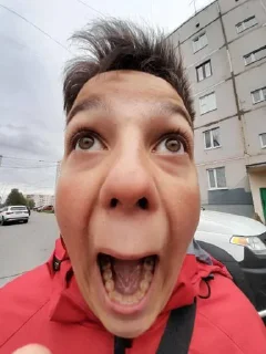 Стикер Мда............... @Tgthemstickbot - 5