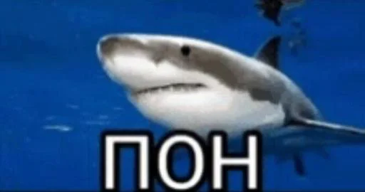 ✧･ﾟ:*пон*:･ﾟ✧ @Tgthemstickbot - 