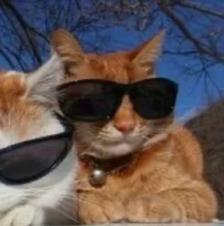 Стикер Ｓㄚ 么 乙 ツ @Tgthemesrobot - 3