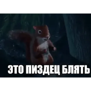 СМС животное млекопитающее