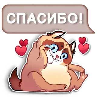 Sticker @igripp мистер кот - 1