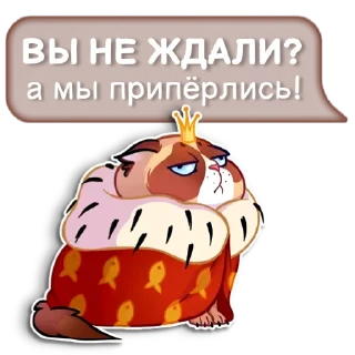 Sticker @igripp мистер кот - 3