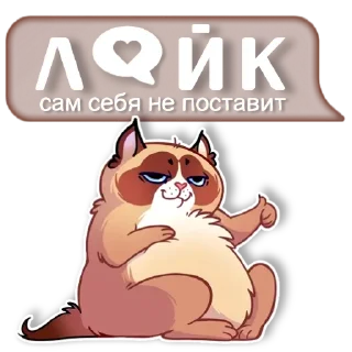 Sticker @igripp мистер кот - 7