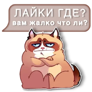Sticker @igripp мистер кот - 10