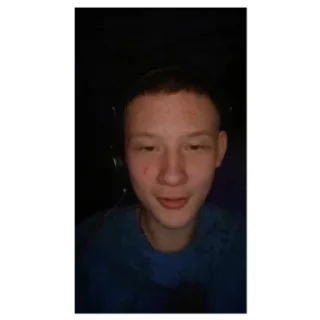 Стикер Свинарник - 4