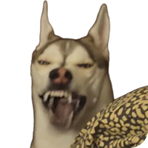 Стикер Svinilyam - 1