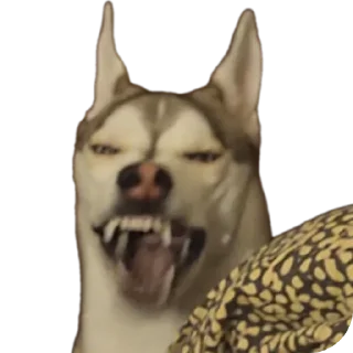 Стикер Свинильям - 1