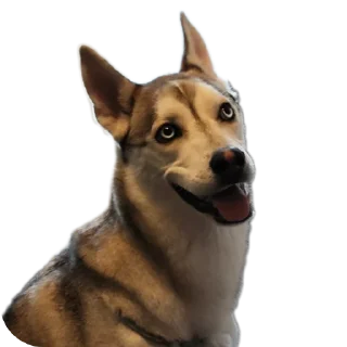 Стикер Свинильям - 4