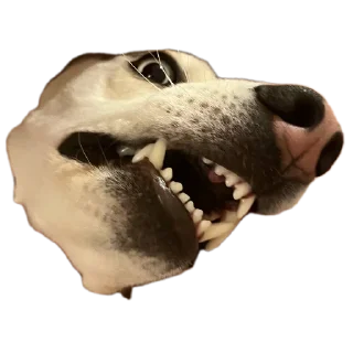 Стикер Свинильям - 7