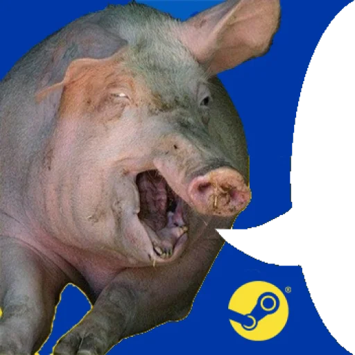 mammal animal pig