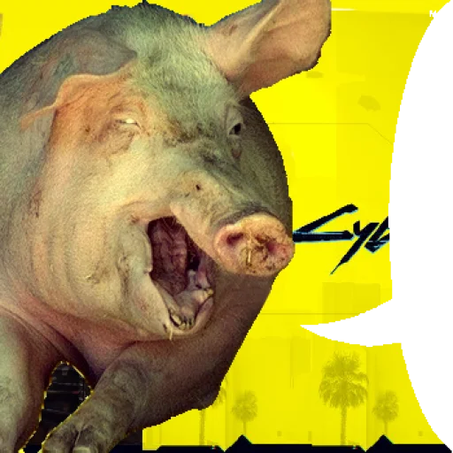 animal mammal pig