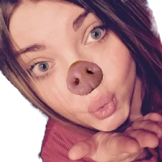 Стикер Свинья Бульмешка - 6