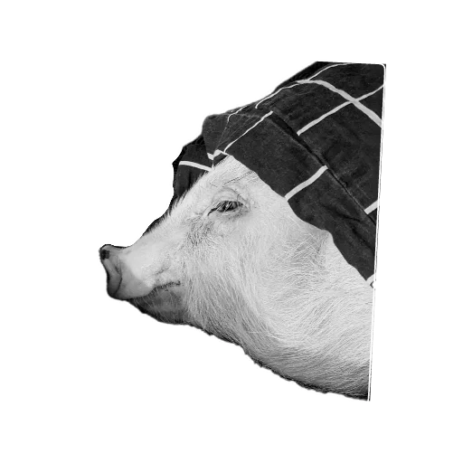 Sticker Svinoporosyonok - 1