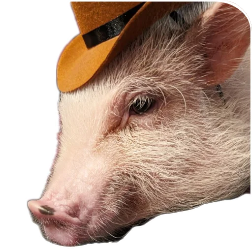 Sticker Svinoporosyonok - 1