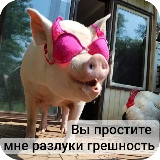 Стикер Свинская исповедь(Паблик) - 5