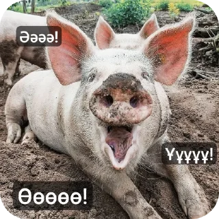 Стикер Свинская исповедь(Паблик) - 1