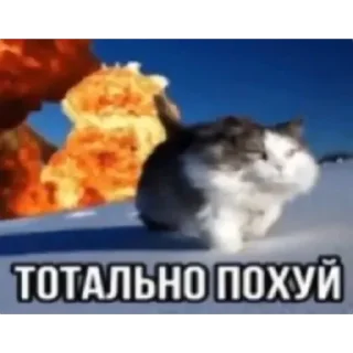 Sticker Свои мемы - 6
