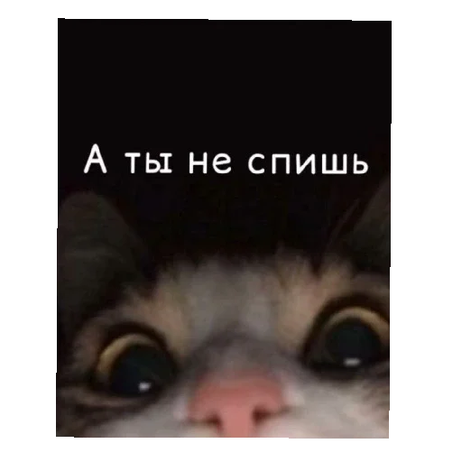 Sticker Svyataya57 - 1