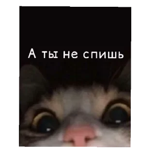 Стикер Святая😈 - 11