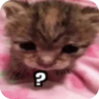 Sticker CoordOmskАльянс - 9