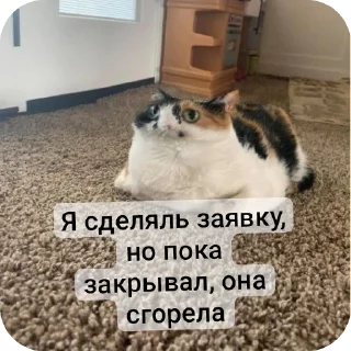 Sticker CoordOmskАльянс - 8