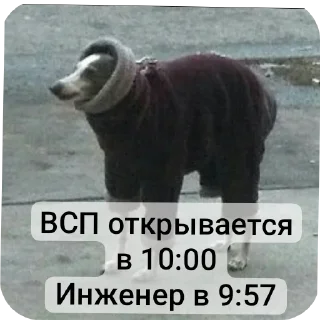 Sticker CoordOmskАльянс - 7