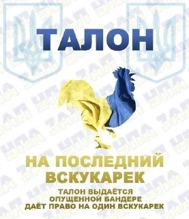 Sticker Svynoflag - 11