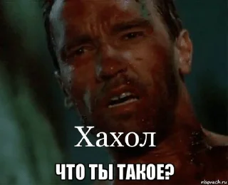 Sticker Svynoflag - 1