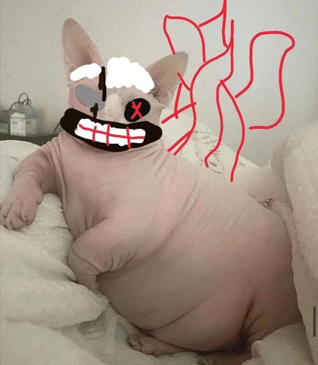 indoor mammal cartoon