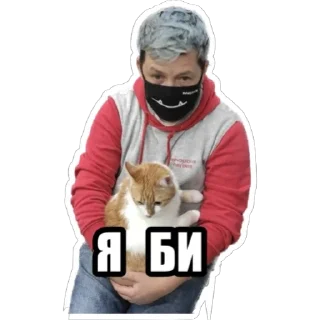 Человек одежда собака