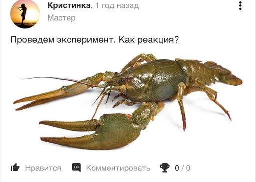 Стикер Пирожок :: @fStikBot - 9