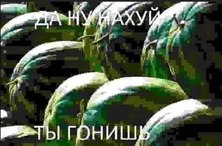 Стикер хууй пзида негр член гавно хач чурка @sticktembot - 11