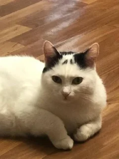 Sticker Лучшие❤️‍🔥 @Tgthemstickbot - 0