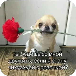 Стикер Daniika Mizinova - 3