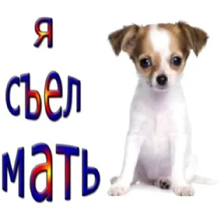 Sticker Да поебать мне от @amphetamine_meth - 8