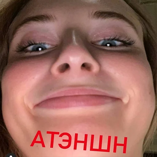 Стикер Syetaa - 1