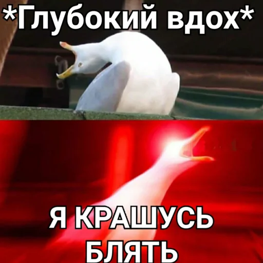 Стикер Эндрю, ты поел? - 5