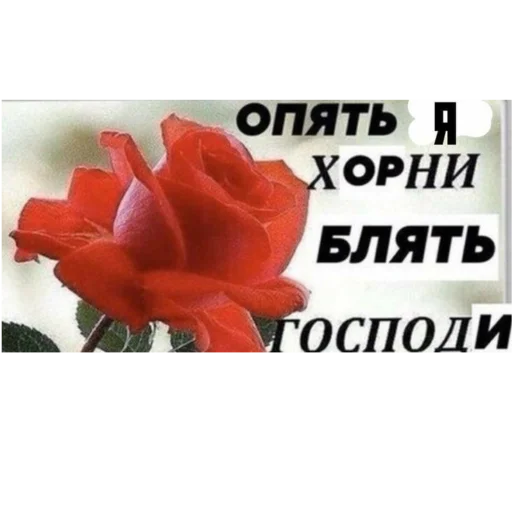 Стикер Эндрю, ты поел? - 1