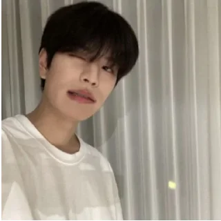 Sticker Сынмин - 2