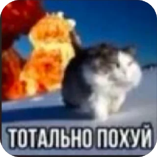 Стикер Сёма - 4