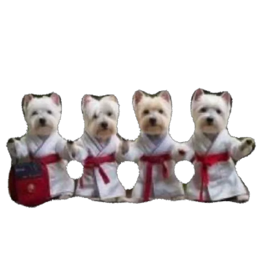 животное млекопитающее игрушка