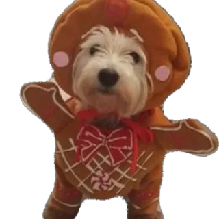 Sticker Сырники - 3