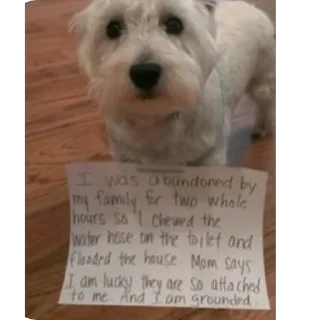 Sticker Сырники - 2