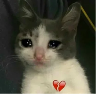 Sticker СЫРОК ТРЕВОЖНЫЙ - 9