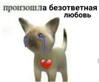 Sticker СЫРОК ТРЕВОЖНЫЙ - 5