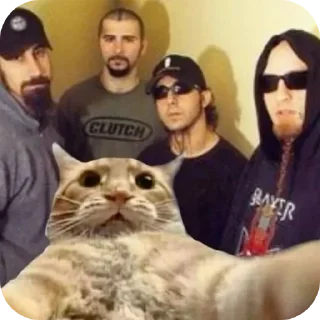 Sticker System of a down :) - 6