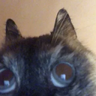 Sticker Сюсюмбер - 11