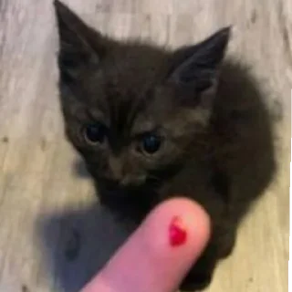 Sticker Сюсюмбер - 9