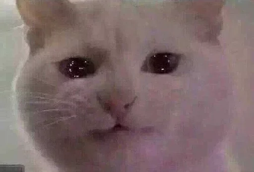 Напиздив :: @fStikBot - 